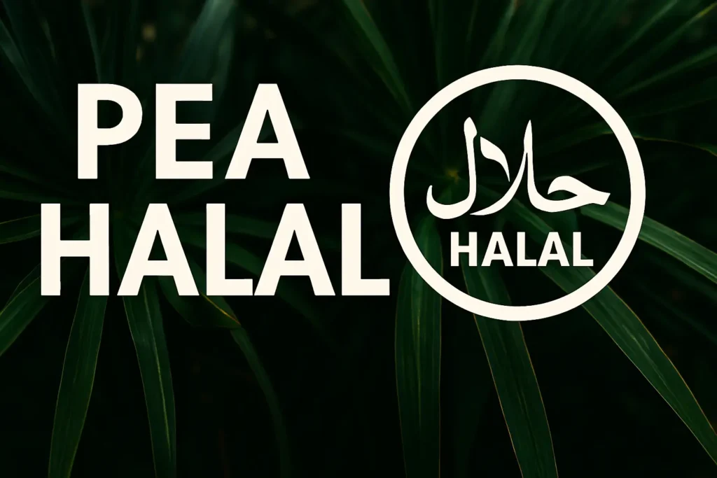PEA Halal 2025 - 20 Actions Conformes Sélectionnées + Performance Réelle sur 5 Ans