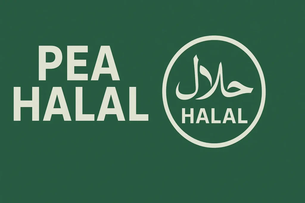 PEA Halal 2025 - 20 Actions Conformes Sélectionnées + Performance Réelle sur 5 Ans